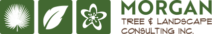 Morgan Tree & Landscape Consulting Logo
